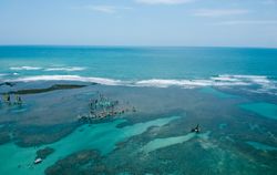 Sailboats & vacationers in the waters of Porto de Galinhas