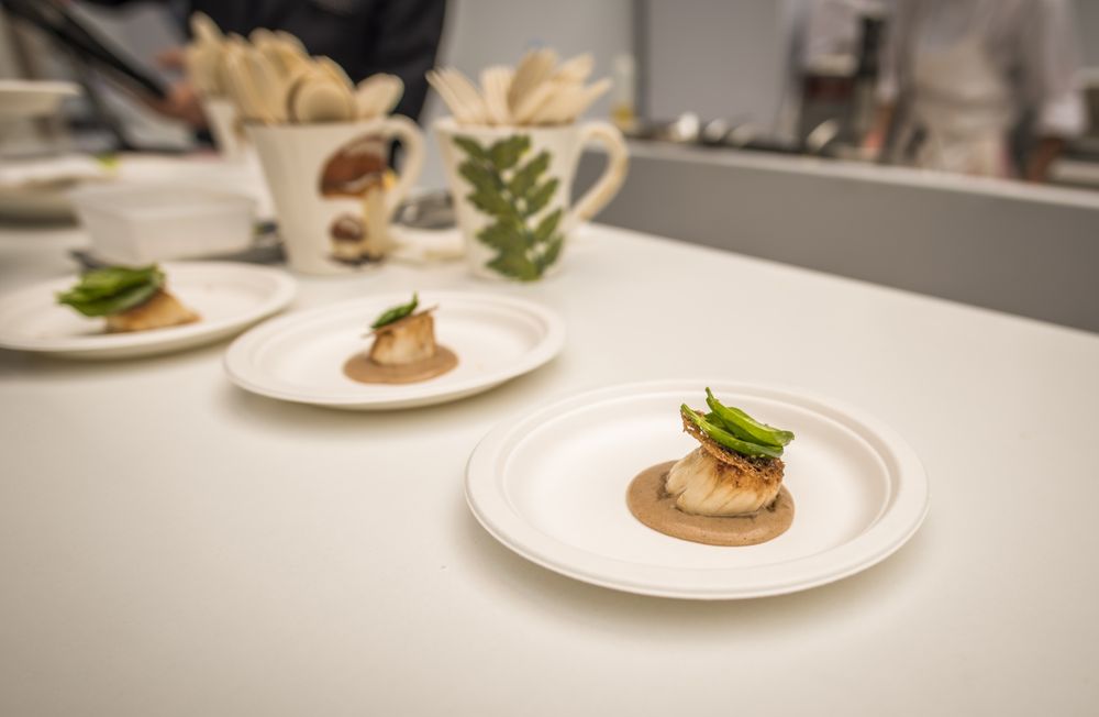 Plate with salmon dish