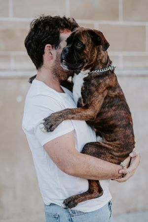 Curious cheeky dog on hands of owner