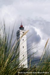 Lighthouse under sky 0gQOW4