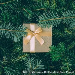 Christmas pine tree branches with brown present with ribbon beYLpb