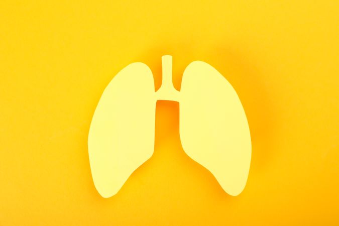 Yellow background with lungs