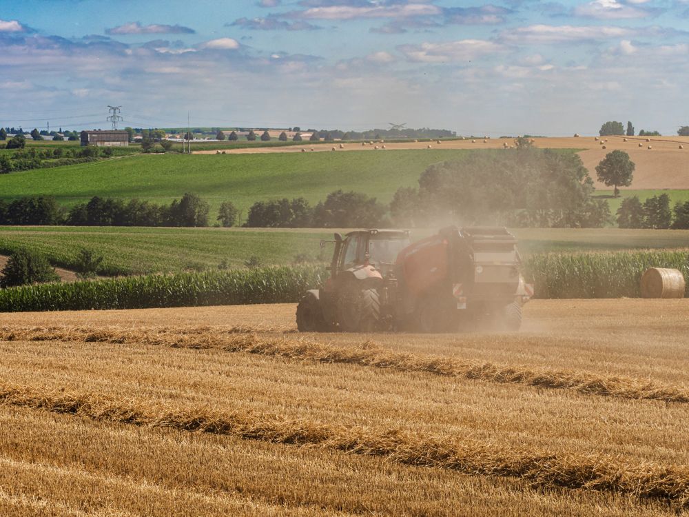 Tractor plows the field. Harvest in Alsace. Field spaces.