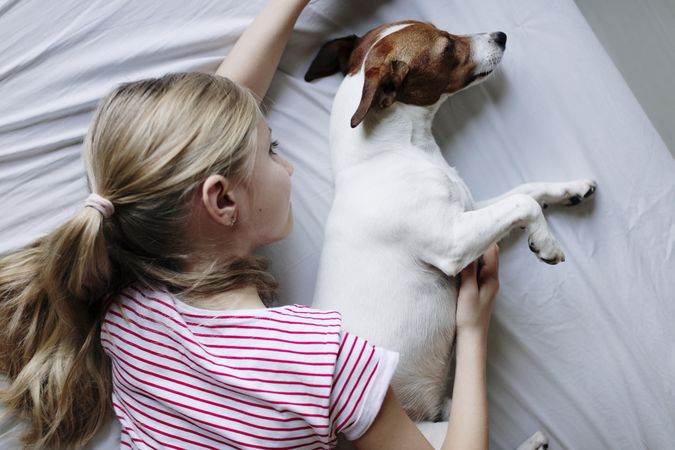 Top view of girl cuddling her Jack Russel dog in bed