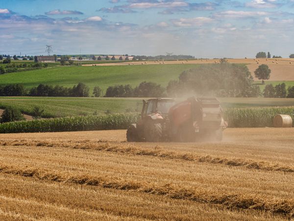 Tractor plows the field. Harvest in Alsace. Field spaces.