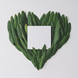 Heart made of green leaves with paper card