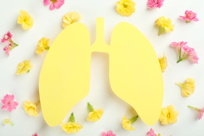 Yellow lungs surrounded with flowers, allergy concept