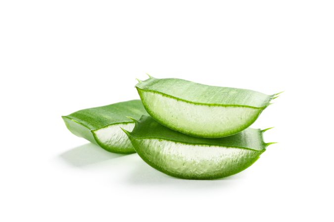 Aloe vera slices isolated on plain background. Herbal medicine