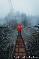 Man in red hoodie walking on suspension bridge between trees 476Ja5