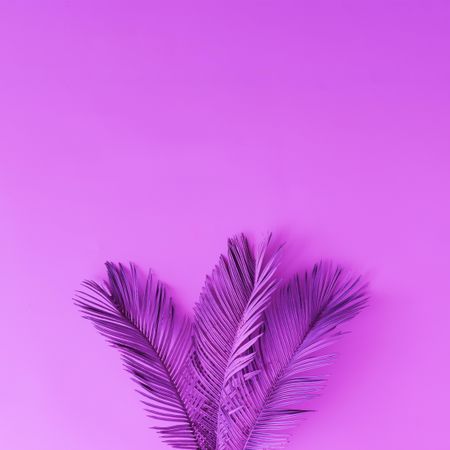 Tropical leaves in vibrant purple holographic color