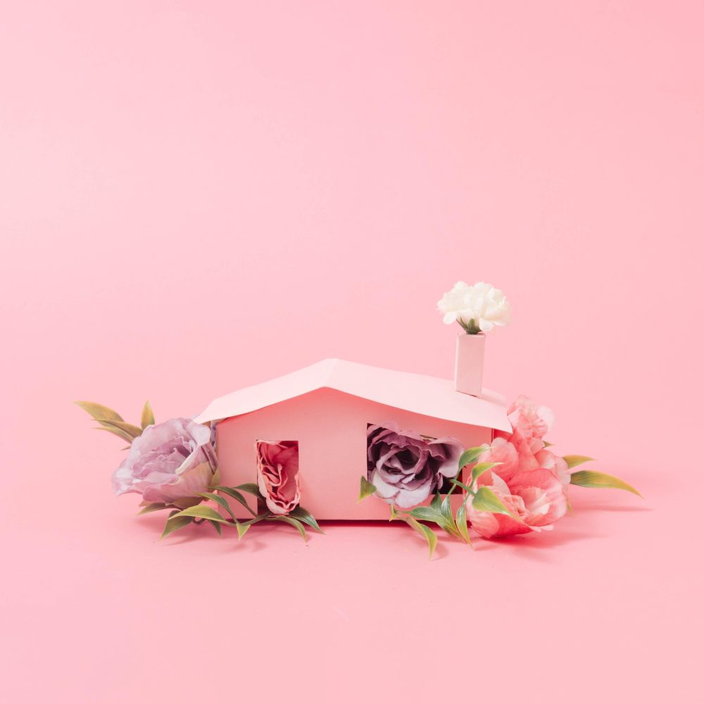 Spring flowers and leaves coming out of pink house