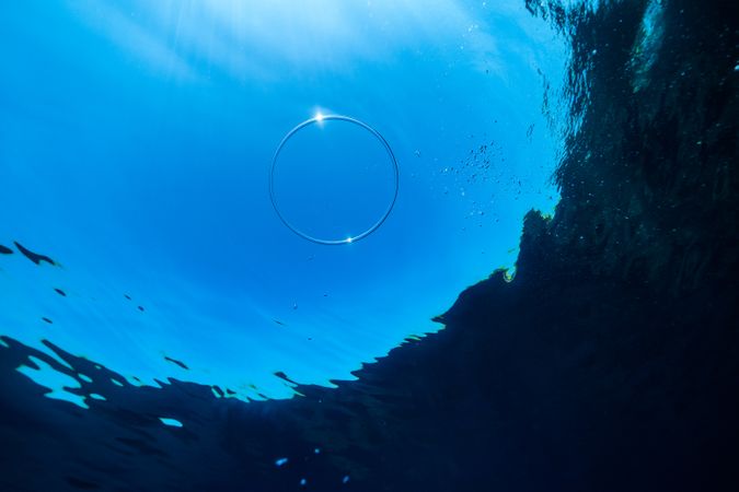 Vortex ring floating under sea water in daylight