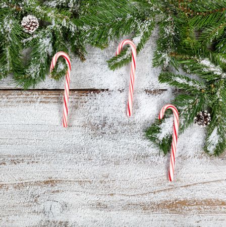 Snowy Christmas fir branches and candy canes on rustic wooden background