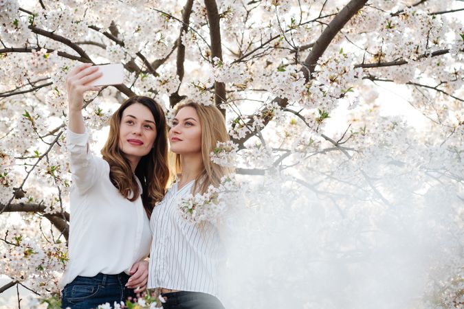 Friends taking selfie near blooming trees