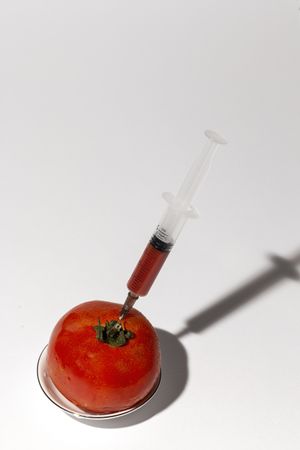 Paint injection into ripe tomato