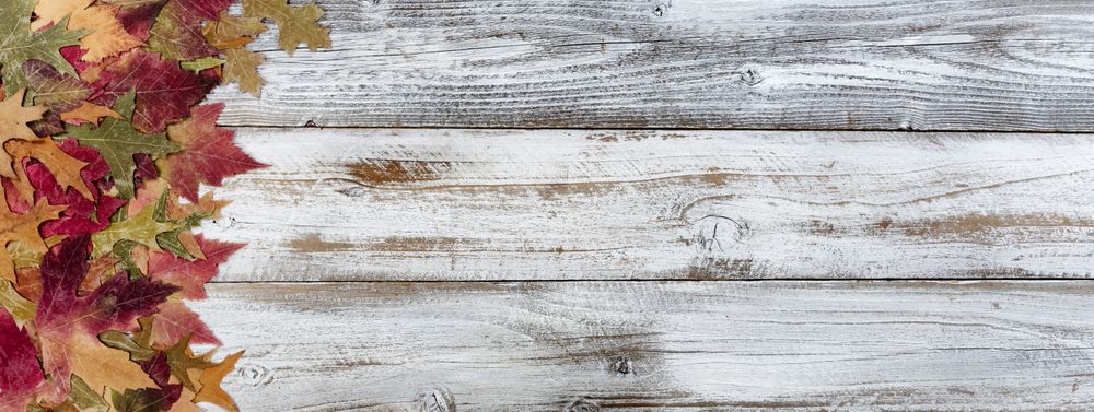 Autumn colorful leaves on rustic wooden background for the Thanksgiving holiday