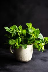 Mug of fresh mint 