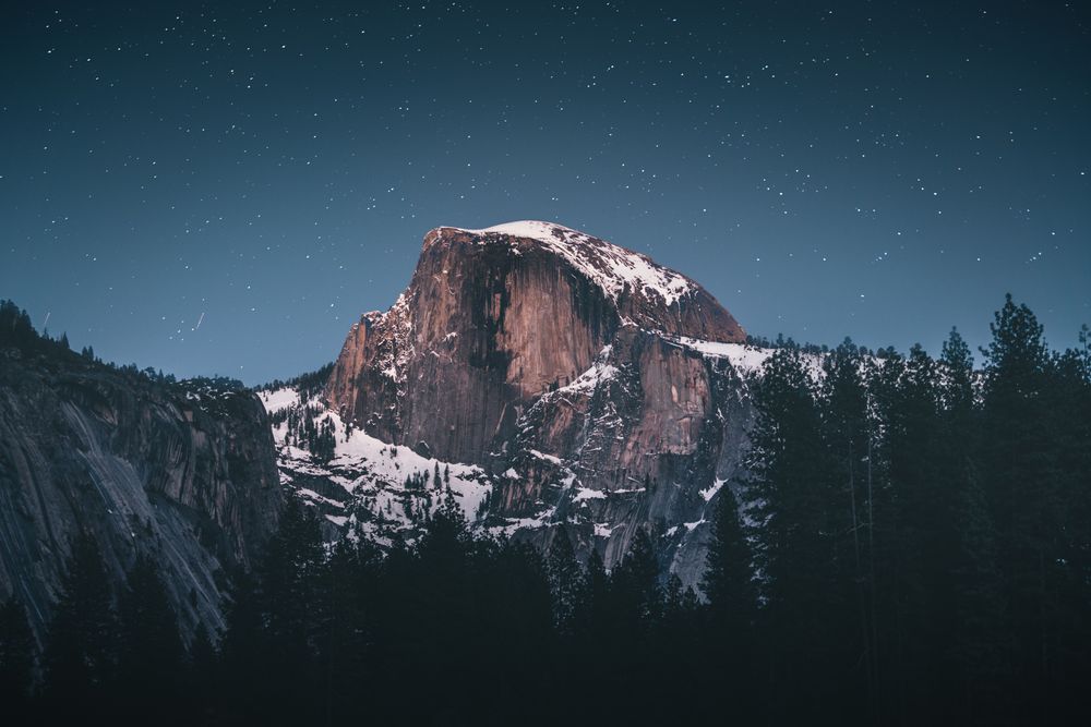 Mountain covered in snow between trees