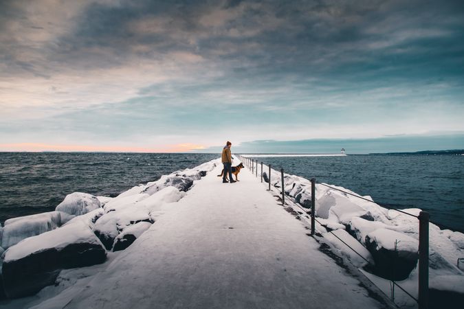 Person with dog facing ocean at sunset