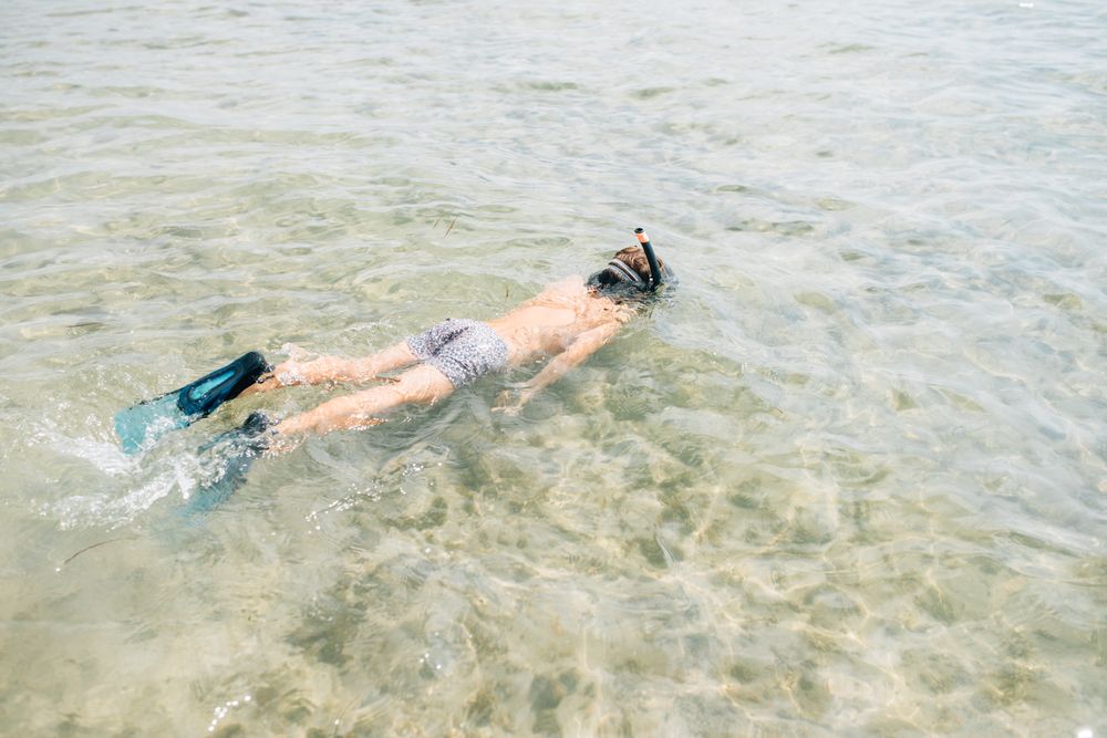 Kid swimming in diving mask