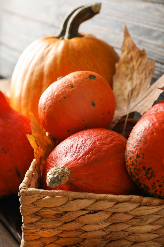 Pumpkins in straw basket on wooden background, close up