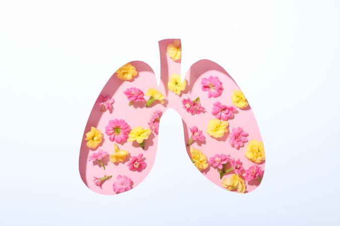 Lung shape cut out of paper with bronchus and pink and yellow flowers underneath