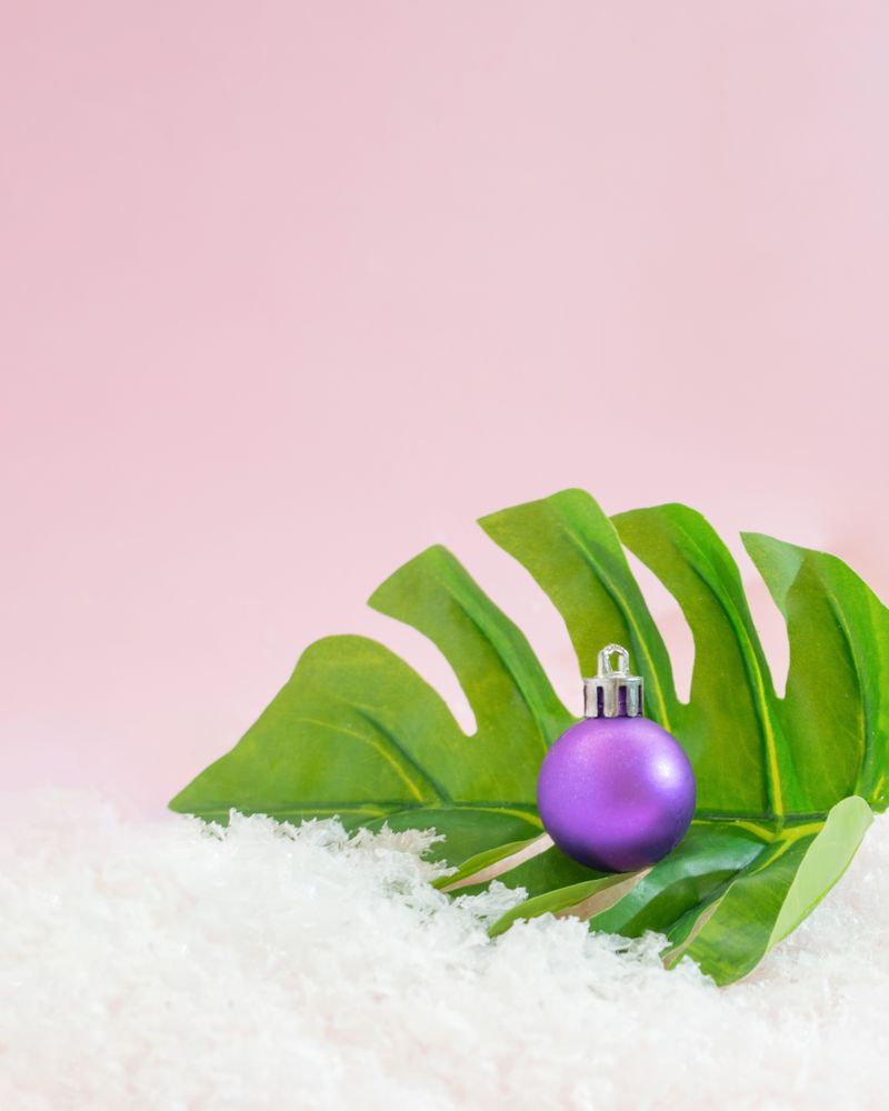 Christmas tree idea with  tropical leaf lying in the snow with purple ornament
