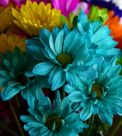 A bouquet of beautiful colorful flowers