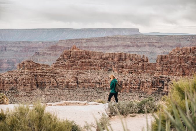 Calm female looking at pictorial landscape