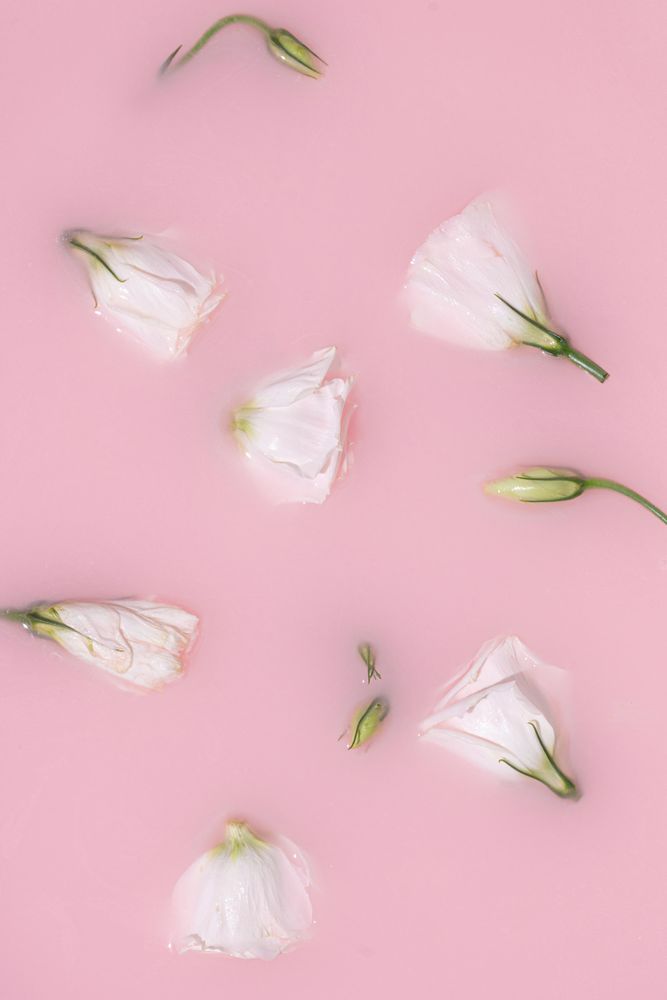 Summer scene with rose flowers submerged in pink milk