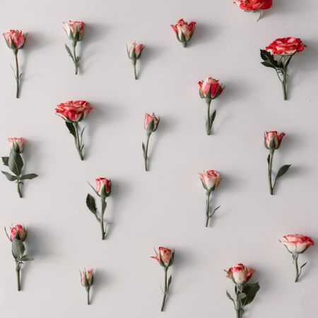 Colorful flowers pattern on light  background