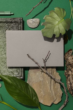 Flat lay of creative moodboard composition, top view