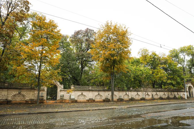 Rainy, autumn, city park in the morning