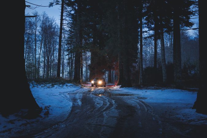 Car riding along dirty road in evening forest