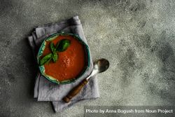 Top view of traditional Spanish tomato soup Gazpacho with basil on grey napkin with copy space 5r93W2