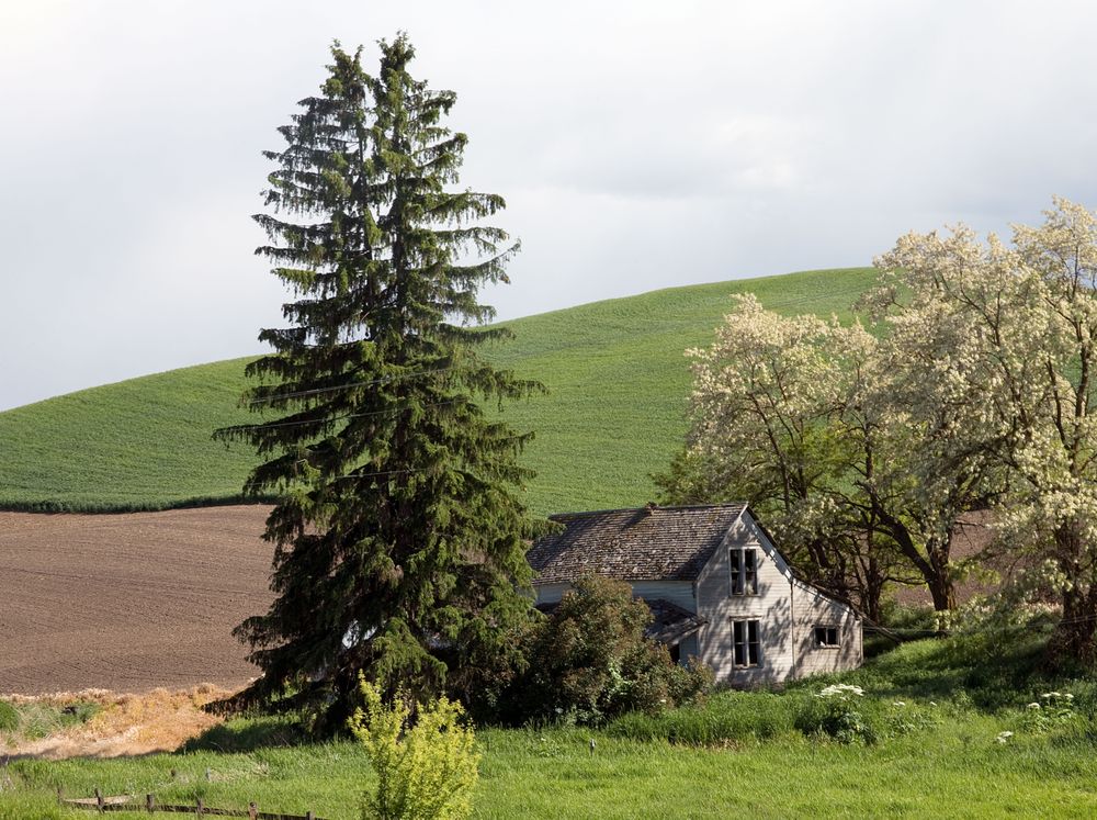 Barn in a field with trees rural Idaho