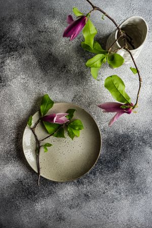 Ceramic plate and vase with magnolia flowers