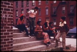 Latino Youths at Lynch Park in Brooklyn, New York City