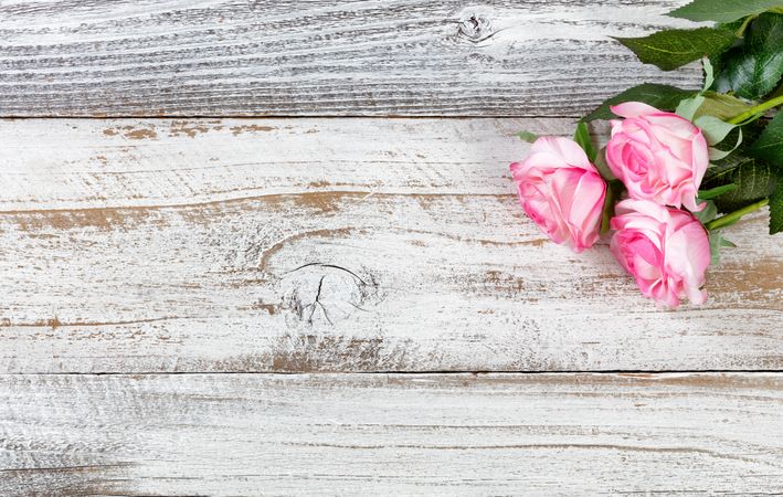 Mothers day gift of pink roses on rustic wooden background