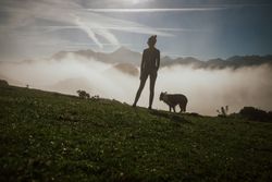 Adult tourist with dog against foggy valley under clear sky in summer