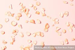 Peach colored rose petals scattered on peach background, minimal 5l6Aeb