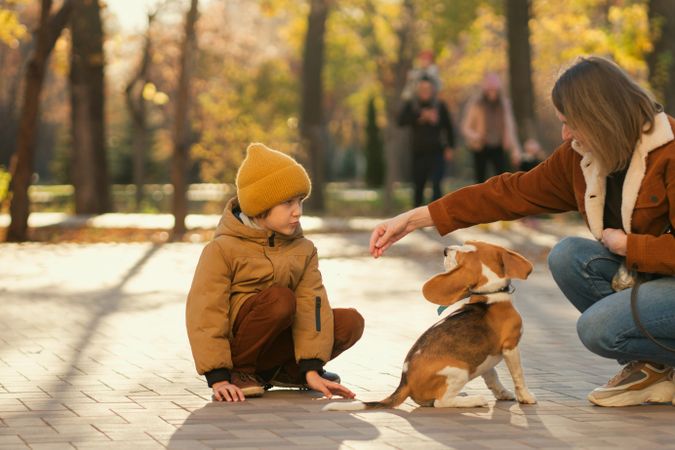 Family walks the dog