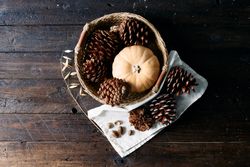 Set of pine cones and holm oak leaves in an esparto basket next to a yellow pumpkin on a wooden table