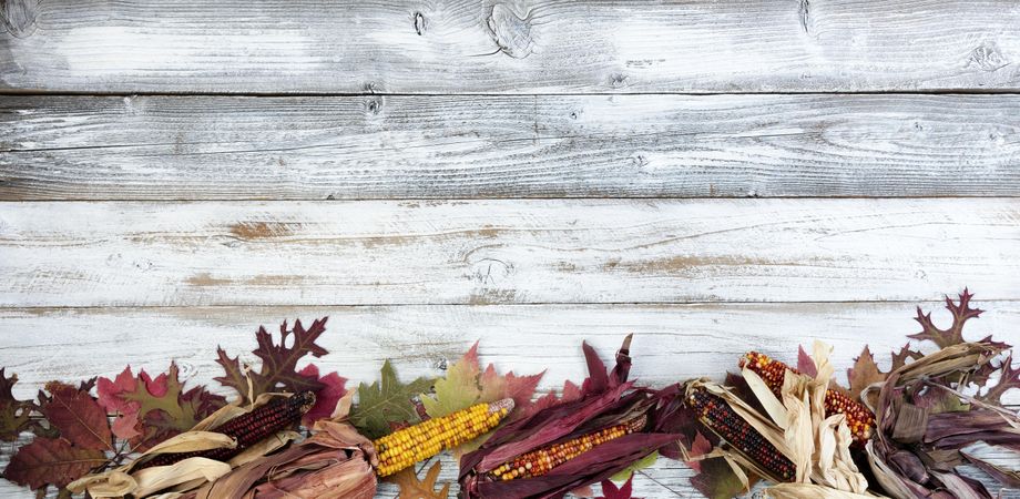Autumn holiday concept background with corn and leaf on old wood