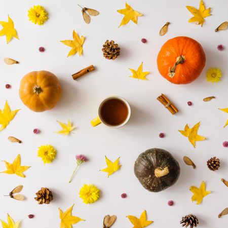 Colorful autumn pattern made of pumpkins, leaves and flowers