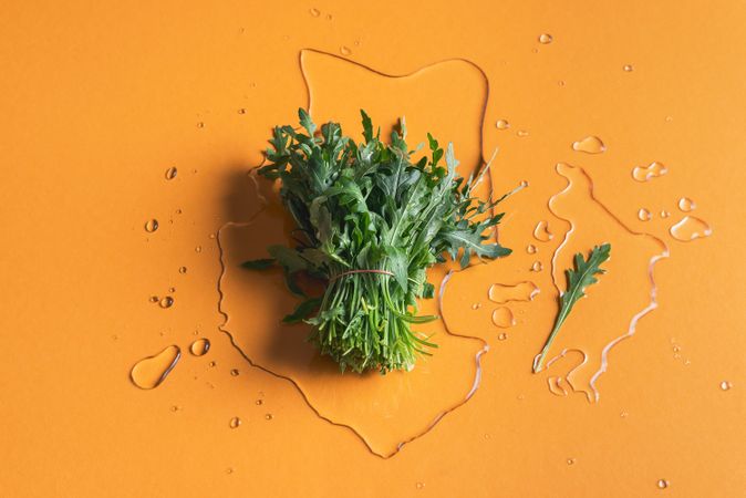 Arugula bundle on water splash and orange background