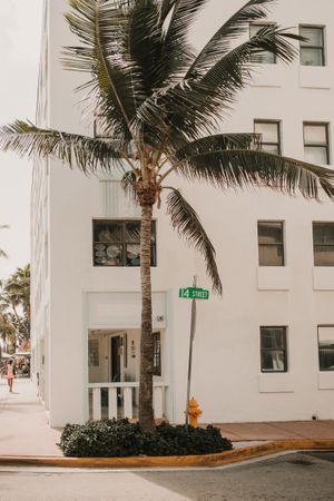 MIAMI, USA - November 13, 2018: View of beautiful city street