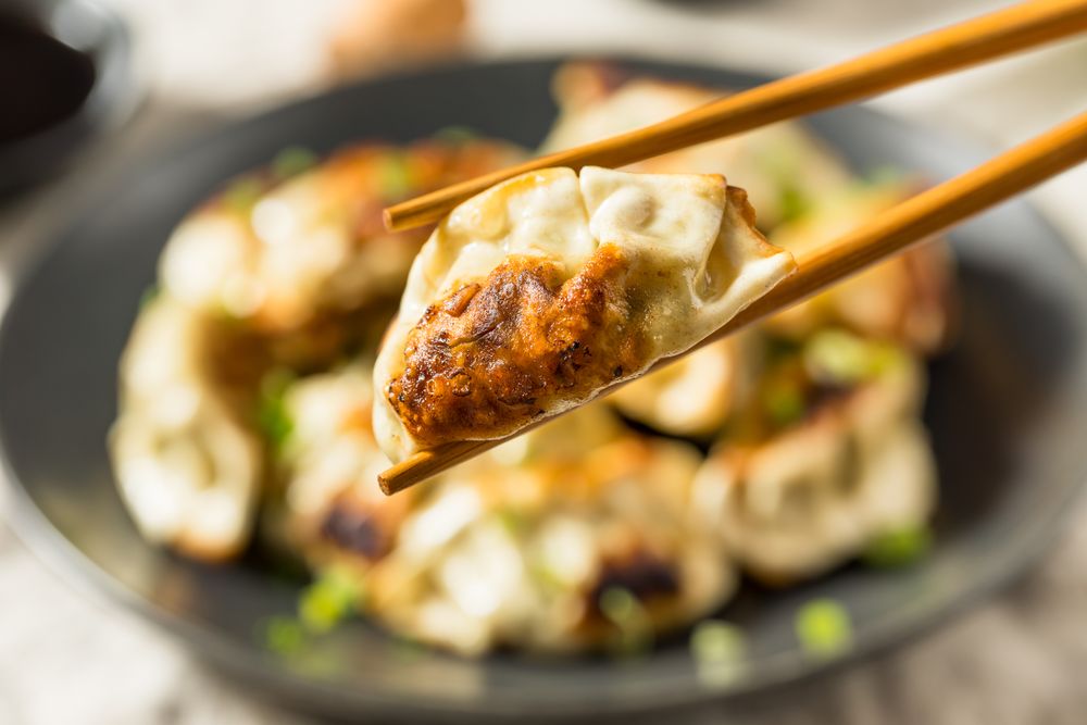 Asian Dumpling Pot Stickers Gyoza