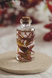 Bottle with fresh plant in liquid between foliage