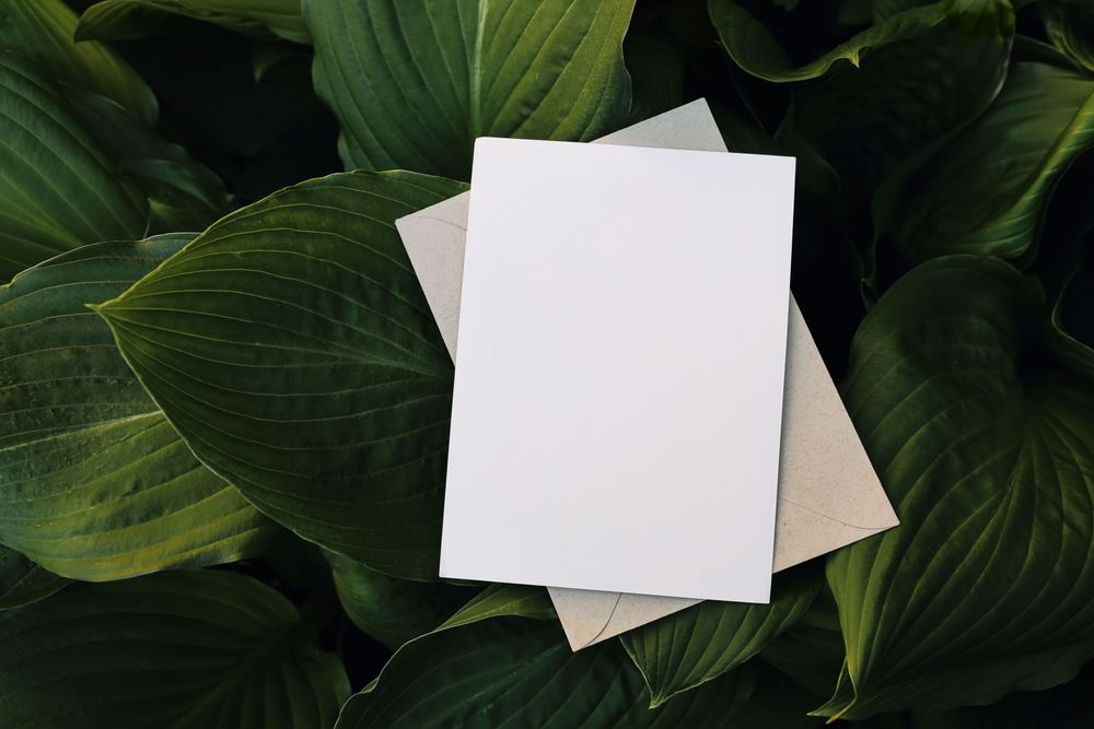 Blank greeting card, envelope over dark green hostas plant leaves